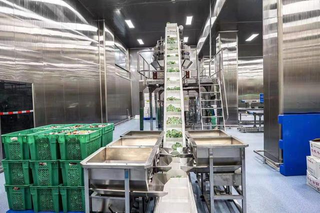 阆中古城食记 一城一味，小食里的千年故事